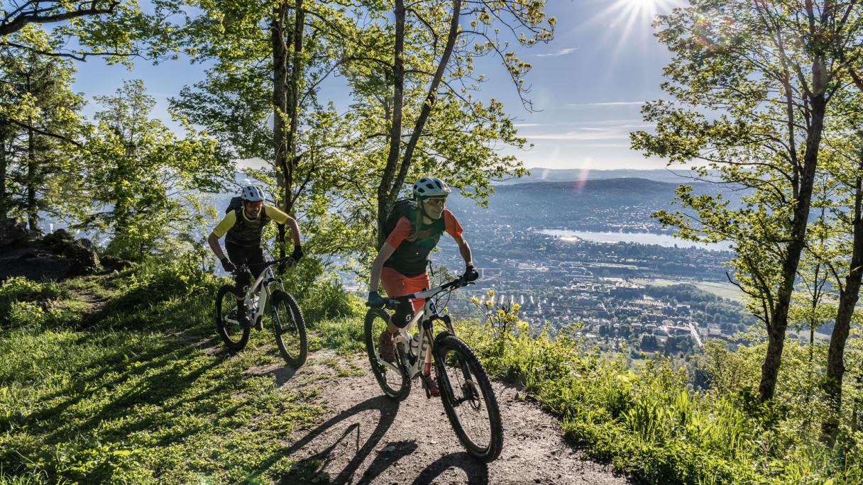 Mountainbiken in Zürich und Region