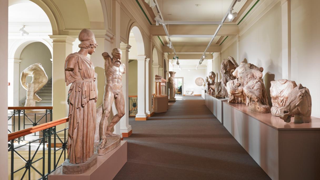 Archaeological Collection of the University of Zurich