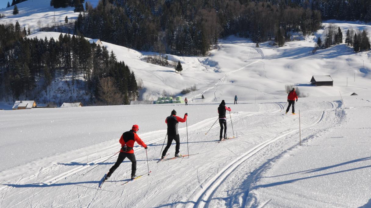 Cross-Country Skiing in Trachslau