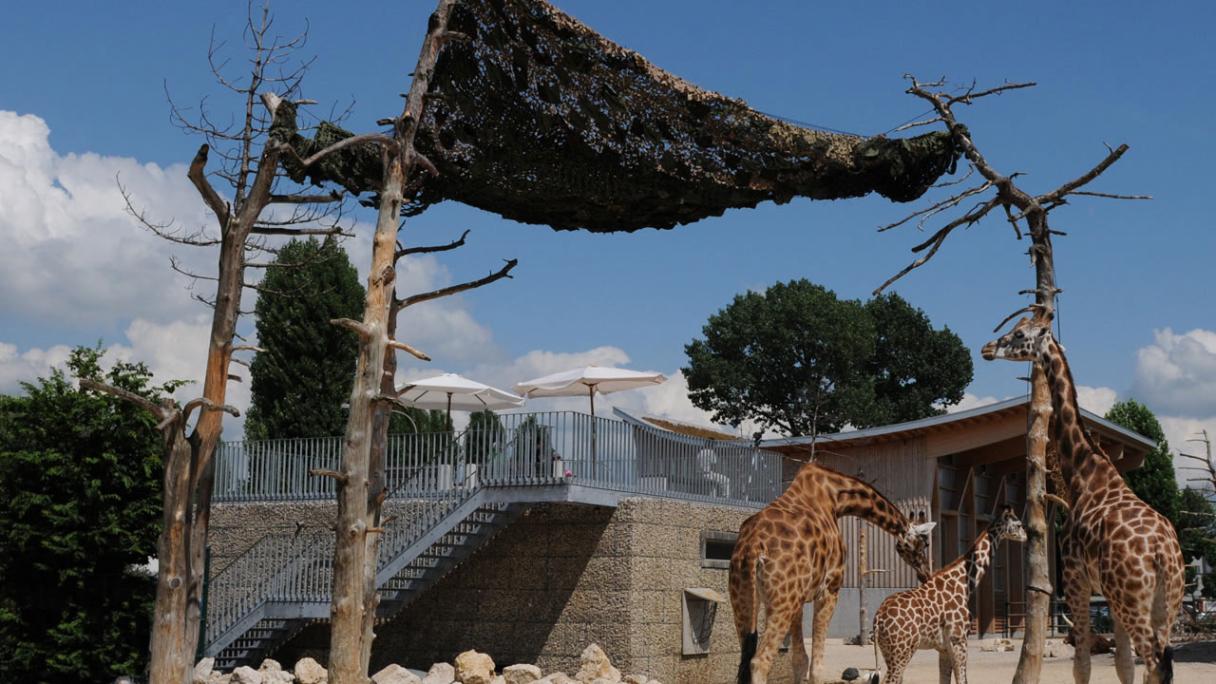 Knie's Children's Zoo – Meeting Place for People and Animals 