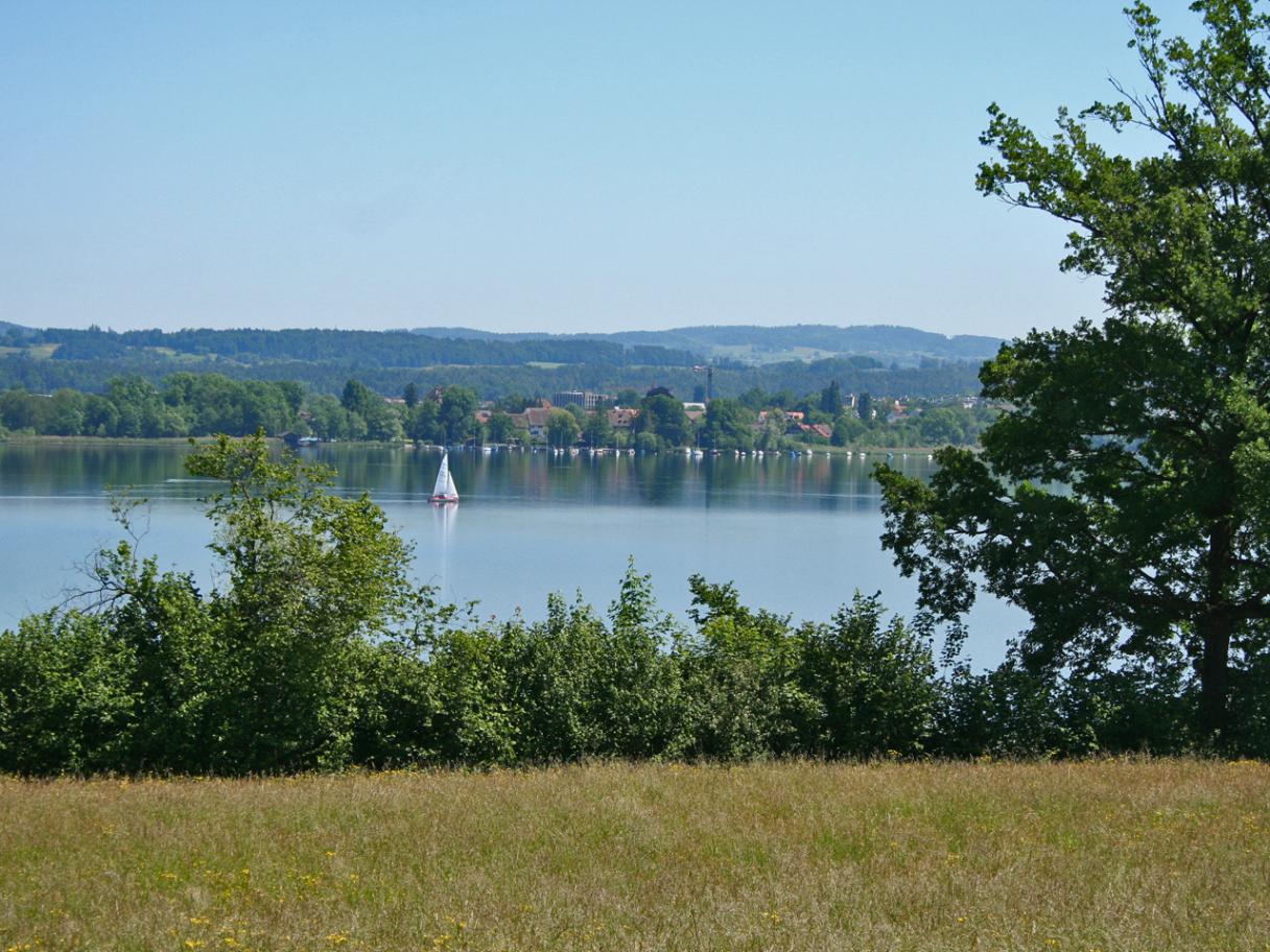 Greifensee Lake 