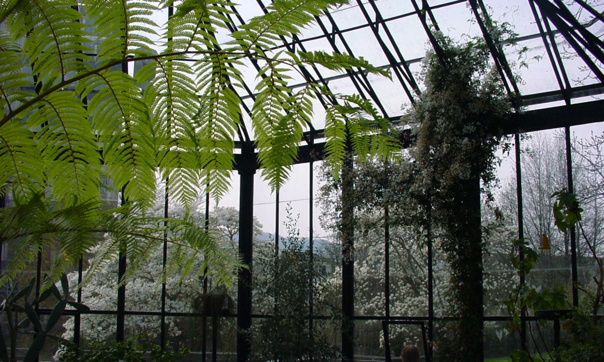 Old Botanical Garden | zuerich.com