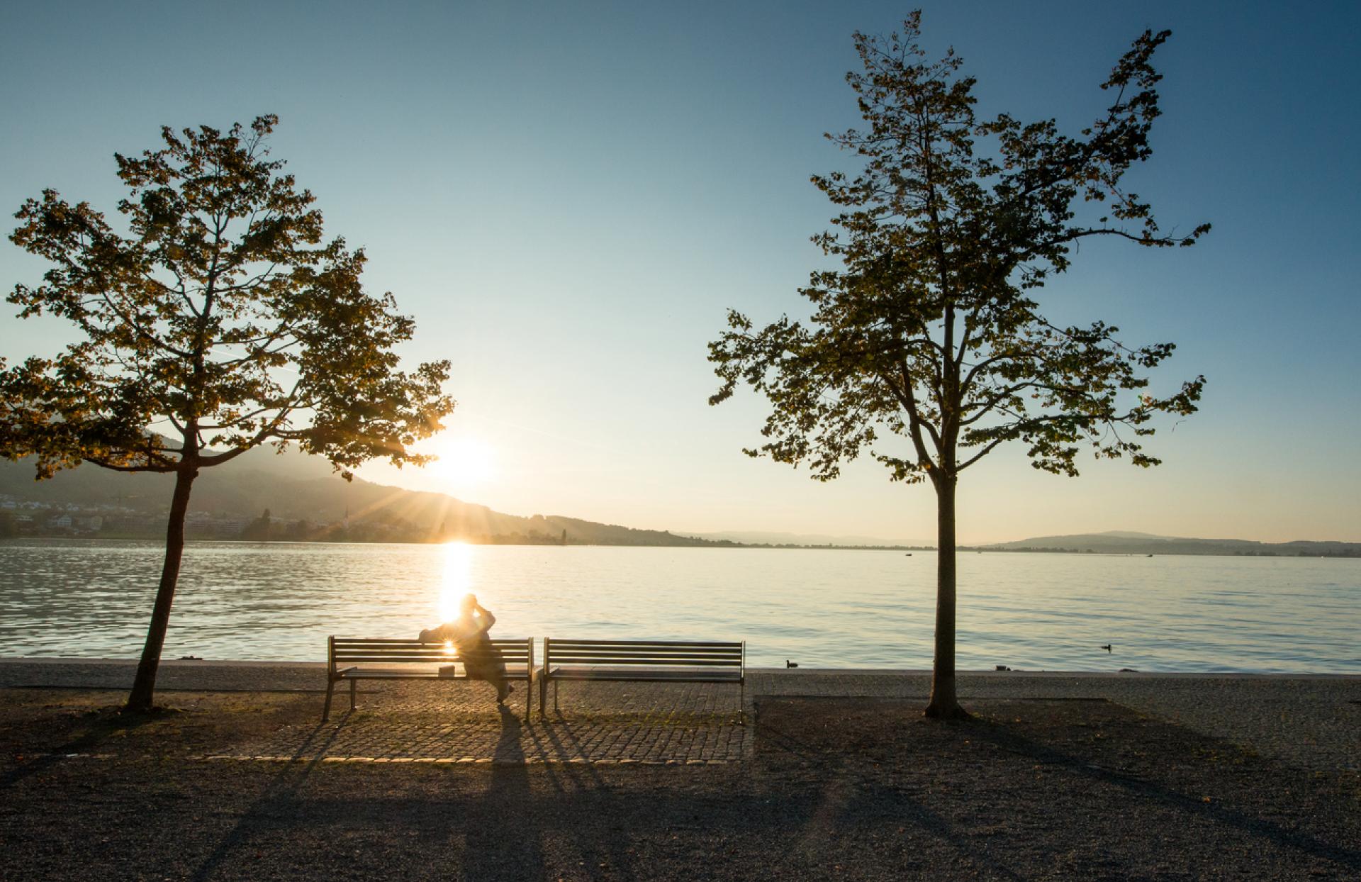Coucher de soleil sur la lac de Zurich à Lachen