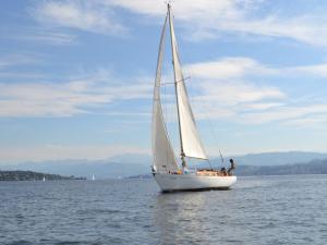 Upwind-Sailing