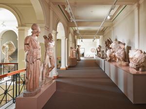 Archaeological Collection of the University of Zurich