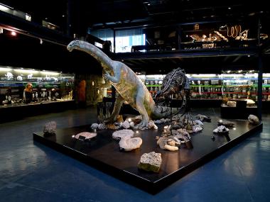 Kulturama Zurich – a museum shows the evolution of mankind