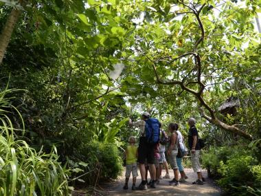 Masoala Rainforest