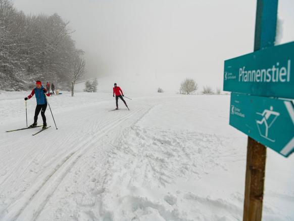 Cross-Country Skiing, Pfannenstiel Guldenen