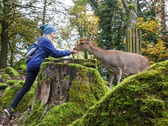 Parco Naturale e Faunistico Goldau