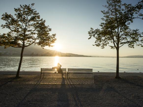 Sunset on Lake Zurich