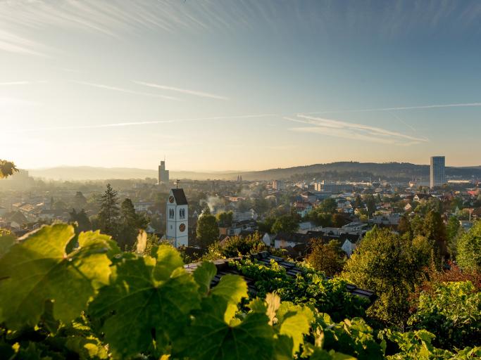 Winterthur vista dall'alto