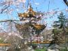 Il Giardino Cinese è un dono della città gemellata di Kunming